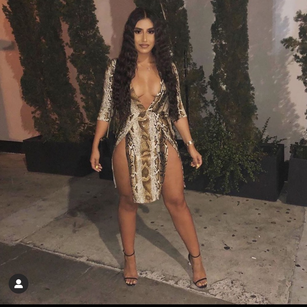 Snake Print Dress
